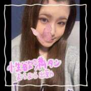 ヒメ日記 2025/08/06 16:35 投稿 セレン 若葉