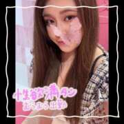 ヒメ日記 2025/08/14 07:45 投稿 セレン 若葉