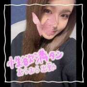 ヒメ日記 2025/08/16 07:45 投稿 セレン 若葉