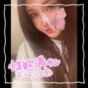 ヒメ日記 2025/09/03 07:45 投稿 セレン 若葉