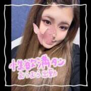 ヒメ日記 2025/09/09 07:45 投稿 セレン 若葉