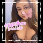 ヒメ日記 2025/09/30 14:48 投稿 セレン 若葉