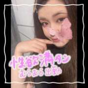 ヒメ日記 2025/10/23 08:05 投稿 セレン 若葉