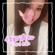 ヒメ日記 2025/11/03 05:45 投稿 セレン 若葉