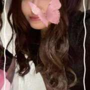 ヒメ日記 2025/11/23 05:45 投稿 セレン 若葉