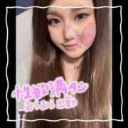 ヒメ日記 2025/11/30 05:45 投稿 セレン 若葉