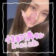 ヒメ日記 2025/12/19 11:15 投稿 セレン 若葉