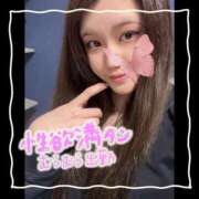 ヒメ日記 2025/12/20 05:05 投稿 セレン 若葉