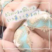 ヒメ日記 2025/12/21 06:15 投稿 セレン 若葉