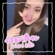 ヒメ日記 2025/12/23 11:15 投稿 セレン 若葉