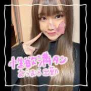 ヒメ日記 2025/12/30 05:15 投稿 セレン 若葉