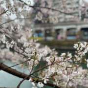 ヒメ日記 2025/04/03 22:26 投稿 ゆう BAD COMPANY（バッドカンパニー）