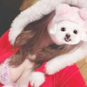 ヒメ日記 2025/12/08 17:41 投稿 ゆう BAD COMPANY（バッドカンパニー）