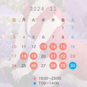 ヒメ日記 2024/11/13 12:06 投稿 かなえ 若葉