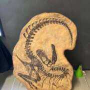 ヒメ日記 2025/08/03 21:49 投稿 もな 白い巨乳