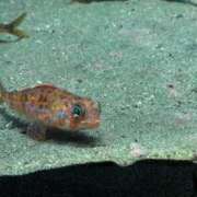 ヒメ日記 2025/09/01 22:07 投稿 もな 白い巨乳