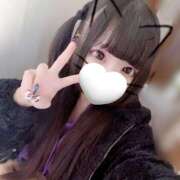 ヒメ日記 2024/12/15 13:15 投稿 しなもん 激安ドットコム