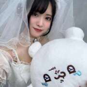 ヒメ日記 2025/11/28 11:13 投稿 かすみ ニューグランド