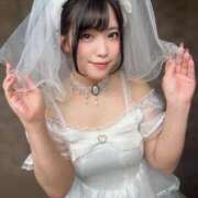 ヒメ日記 2026/02/11 06:13 投稿 かすみ ニューグランド