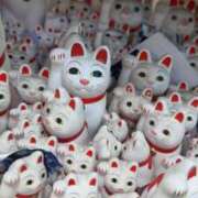ヒメ日記 2026/08/11 13:23 投稿 かすみ ニューグランド