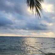 ヒメ日記 2025/02/16 06:01 投稿 かえで チューリップ土浦店