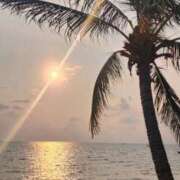 ヒメ日記 2025/02/24 22:20 投稿 かえで チューリップ土浦店