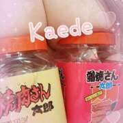ヒメ日記 2025/02/24 22:50 投稿 かえで チューリップ土浦店