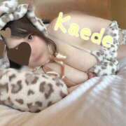 ヒメ日記 2025/05/18 15:18 投稿 かえで チューリップ土浦店