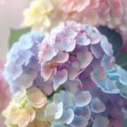 ヒメ日記 2025/06/28 22:18 投稿 かえで チューリップ土浦店