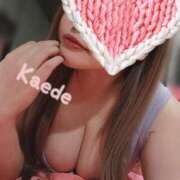 ヒメ日記 2025/07/20 14:38 投稿 かえで チューリップ土浦店