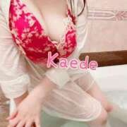 ヒメ日記 2025/09/05 21:08 投稿 かえで チューリップ土浦店