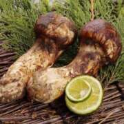 ヒメ日記 2025/10/07 20:39 投稿 かえで チューリップ土浦店