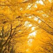 ヒメ日記 2025/11/29 20:49 投稿 かえで チューリップ土浦店