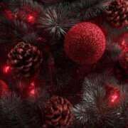 かえで 🧡 チューリップ土浦店