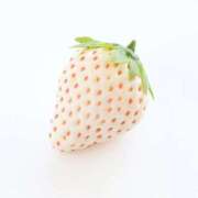 ヒメ日記 2026/01/17 21:04 投稿 かえで チューリップ土浦店