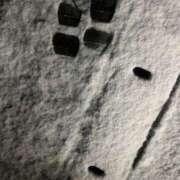 ヒメ日記 2025/03/05 17:08 投稿 いと 上野ハイブリッドマッサージ