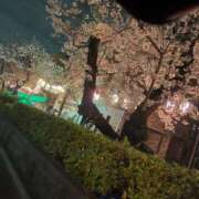 ヒメ日記 2025/04/08 07:28 投稿 いと 上野ハイブリッドマッサージ