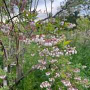 ヒメ日記 2025/06/03 22:38 投稿 いと 上野ハイブリッドマッサージ