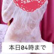 ヒメ日記 2025/03/14 16:48 投稿 いと 品川ハイブリッドマッサージ