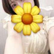 ヒメ日記 2025/07/02 20:48 投稿 いと 品川ハイブリッドマッサージ