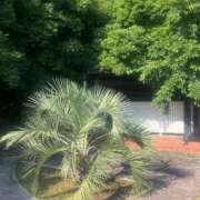 ヒメ日記 2025/07/13 17:28 投稿 いと 品川ハイブリッドマッサージ