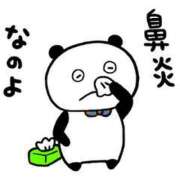 ヒメ日記 2025/07/15 23:53 投稿 いと 品川ハイブリッドマッサージ