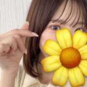 ヒメ日記 2025/09/07 20:38 投稿 いと 品川ハイブリッドマッサージ