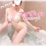 ヒメ日記 2025/01/23 23:52 投稿 あの 西船人妻花壇