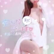 ヒメ日記 2025/04/14 11:01 投稿 あの 西船人妻花壇