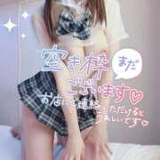 ヒメ日記 2026/02/11 15:35 投稿 あの 西船人妻花壇