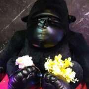 ヒメ日記 2026/03/26 22:00 投稿 アミ 人妻生レンタル