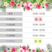 ヒメ日記 2025/11/24 11:50 投稿 マユミ 人妻生レンタル