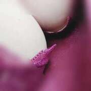 ヒメ日記 2025/11/25 18:27 投稿 マユミ 人妻生レンタル