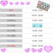 ヒメ日記 2025/12/07 12:50 投稿 マユミ 人妻生レンタル